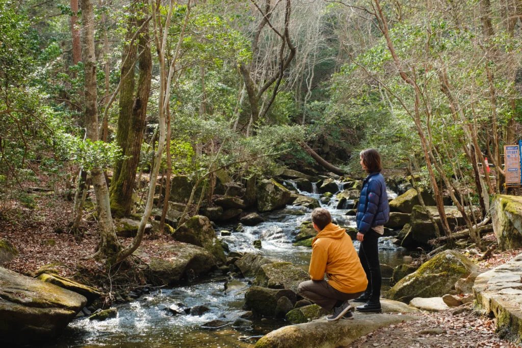 🏞️ 루리 계곡 자연공원(루리케이 시젠코엔) 이미지 3
